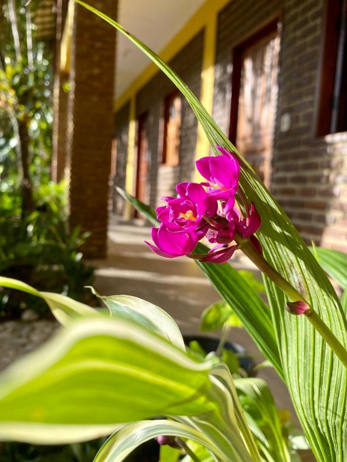 Pousada Aruana ポルトセグロ エクステリア 写真